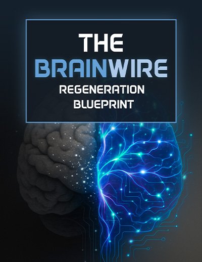 The Brainwire Regeneration Blueprint eBook - Audifort Free Bonus #2