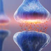 GABA for Relaxation and Auditory Nerve Health