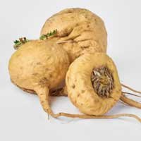 Maca Root Extract for Hearing and Energy Boost